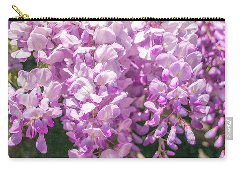 Bloom Zip Pouch featuring the photograph Wisteria by Amanda Mohler