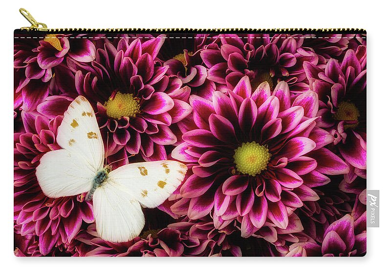 Pom Zip Pouch featuring the photograph With Butterfly On Poms Spray by Garry Gay