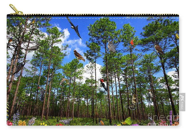 Withlacoochee State Forest Zip Pouch featuring the photograph Withlacoochee State Forest Nature Collage by Barbara Bowen