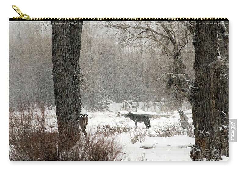 Wolf Zip Pouch featuring the photograph Wolf in the Forest by Deby Dixon