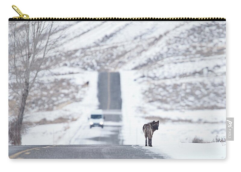 Travel Zip Pouch featuring the photograph Wolf Land by Eilish Palmer