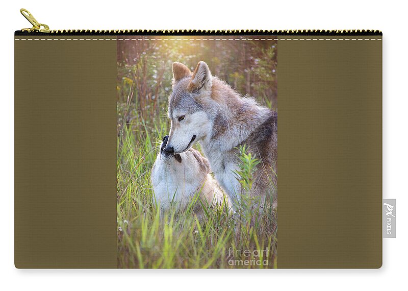 Canis Lupus Zip Pouch featuring the photograph Wolf Soul Mates by Sharon McConnell