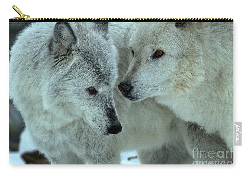  Zip Pouch featuring the photograph Wolf Whispers by Adam Jewell