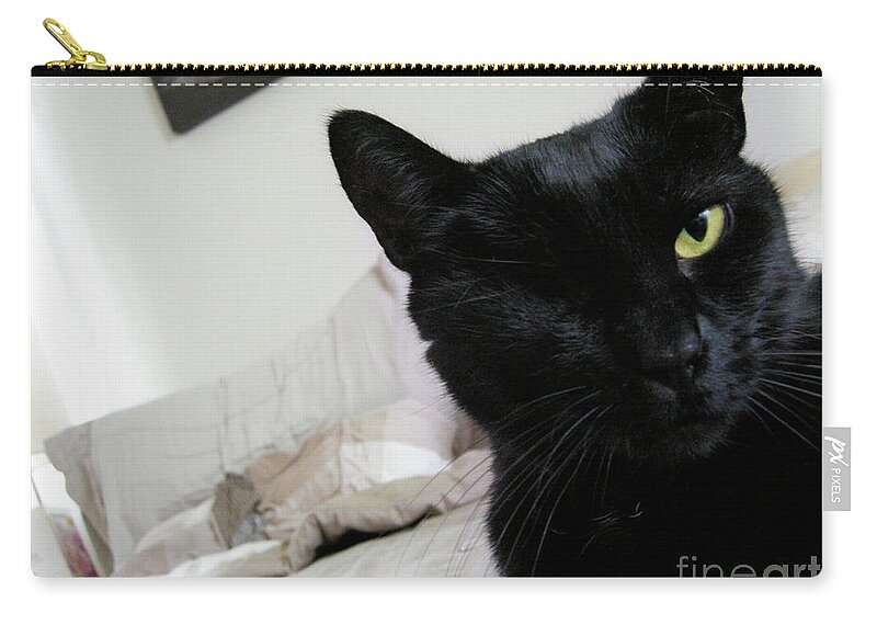Cat Zip Pouch featuring the photograph Won-Ton on Bed by Erica Freeman