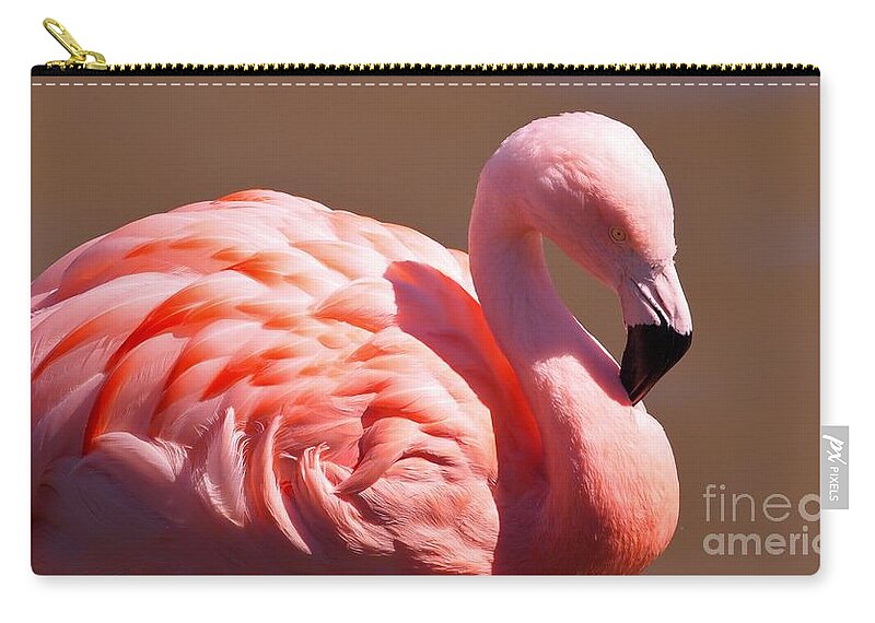 Pink Zip Pouch featuring the photograph Wonderful Pink Flamingo by Jennifer Craft