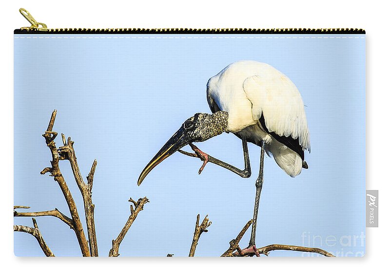 Wood Stork Zip Pouch featuring the photograph Wood Stork 2 by Ben Graham