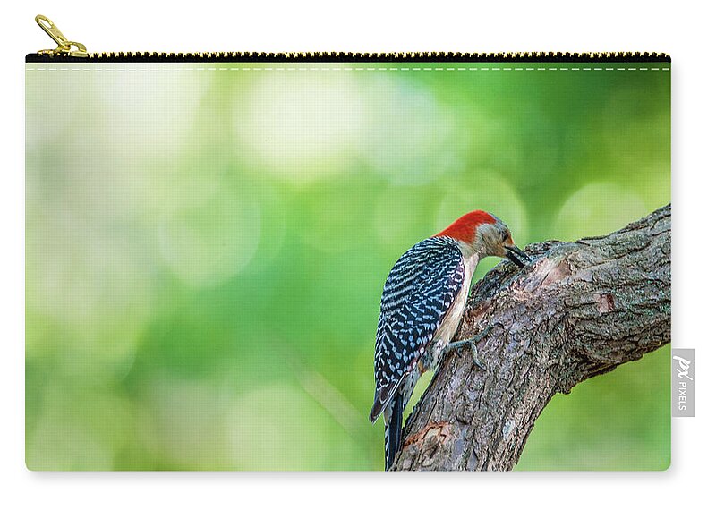 Bird Zip Pouch featuring the photograph Woody by Cathy Kovarik