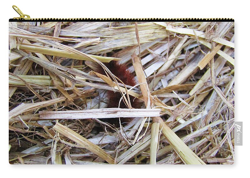 Woolly Zip Pouch featuring the photograph Woolly Bear in the Hay 2 by Robert Knight