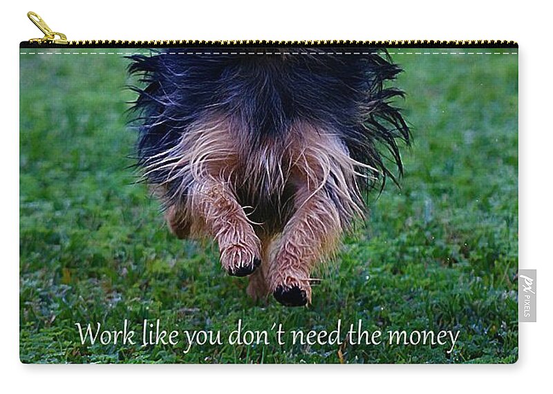 Dog Zip Pouch featuring the photograph Words to Live By by Clare Bevan