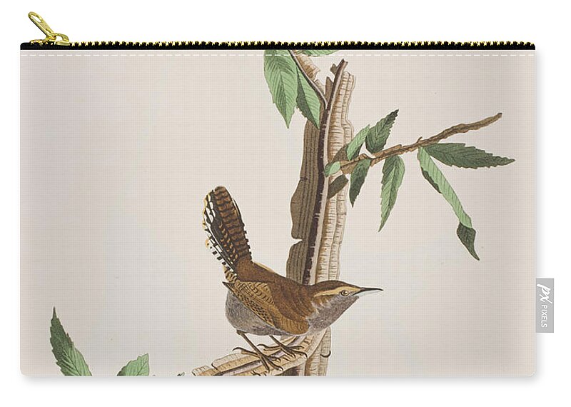 Wren Zip Pouch featuring the painting Wren by John James Audubon
