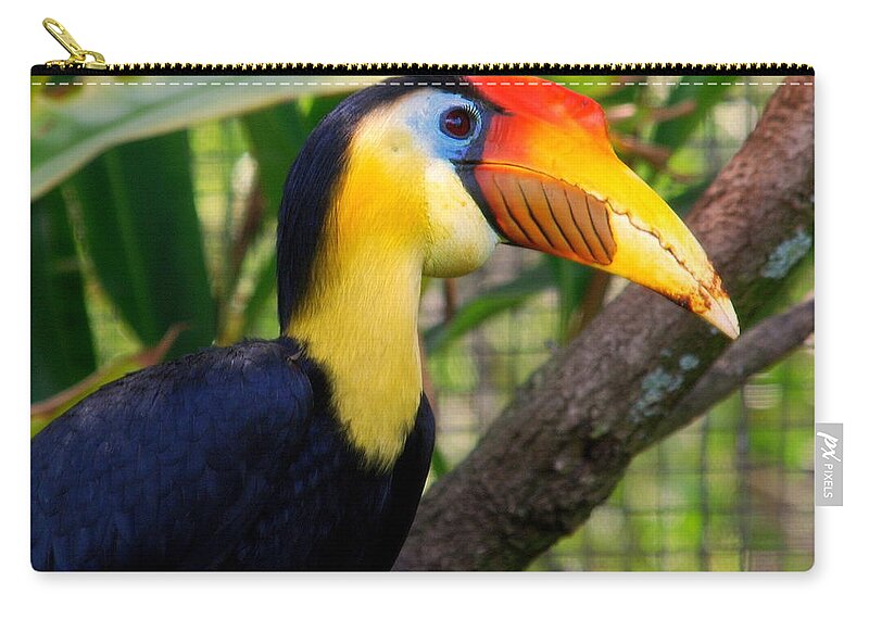 Wrinkled Hornbill Zip Pouch featuring the photograph Wrinkled Hornbill by Susanne Van Hulst