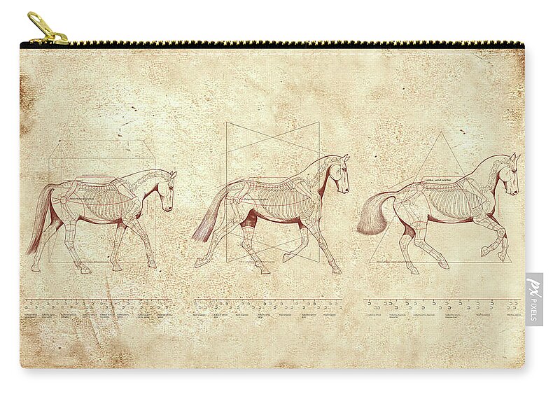 Horse Zip Pouch featuring the painting WTC, Walk, Trot, Canter, The Horse's Gaits Revealed by Catherine Twomey