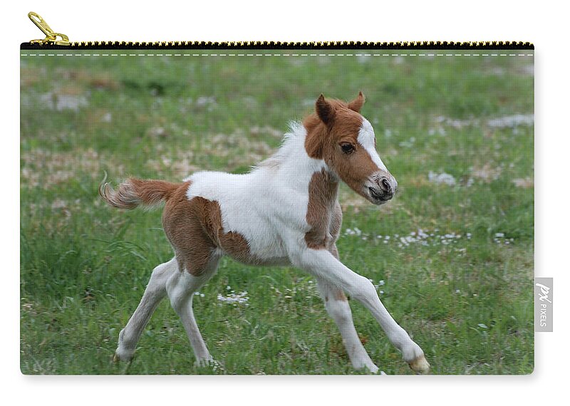 Miniature Horse Carry-all Pouch featuring the photograph Wyatt by Amy Porter