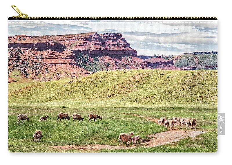 Sheep Zip Pouch featuring the photograph Wyoming Calm by Sam Sherman