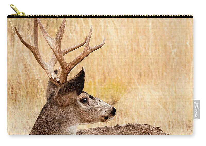 Buck Mule Deer Zip Pouch featuring the photograph Wyoming Wildlife by Bon and Jim Fillpot