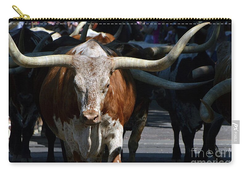 Texas Zip Pouch featuring the photograph Ya'all be careful now..... by Debby Pueschel