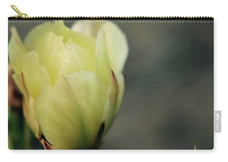 Cactus Zip Pouch featuring the photograph Yellow Beauty by Amee Cave