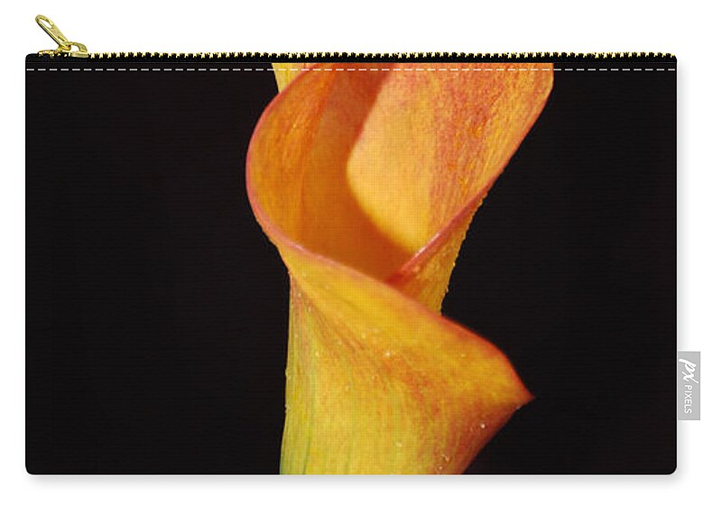 Flowers Zip Pouch featuring the photograph Yellow Calla Lily flower 53 by Terri Winkler