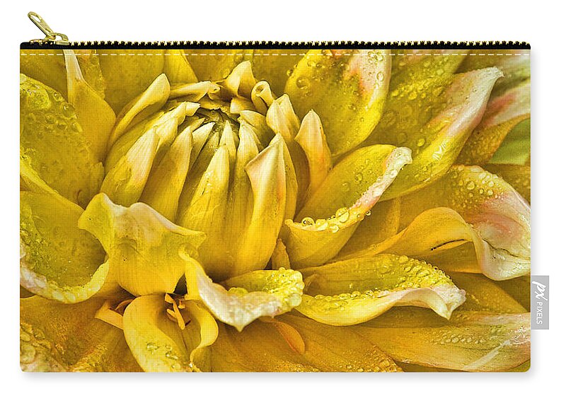 Nature Zip Pouch featuring the photograph Yellow Dahlia by Susan Cliett