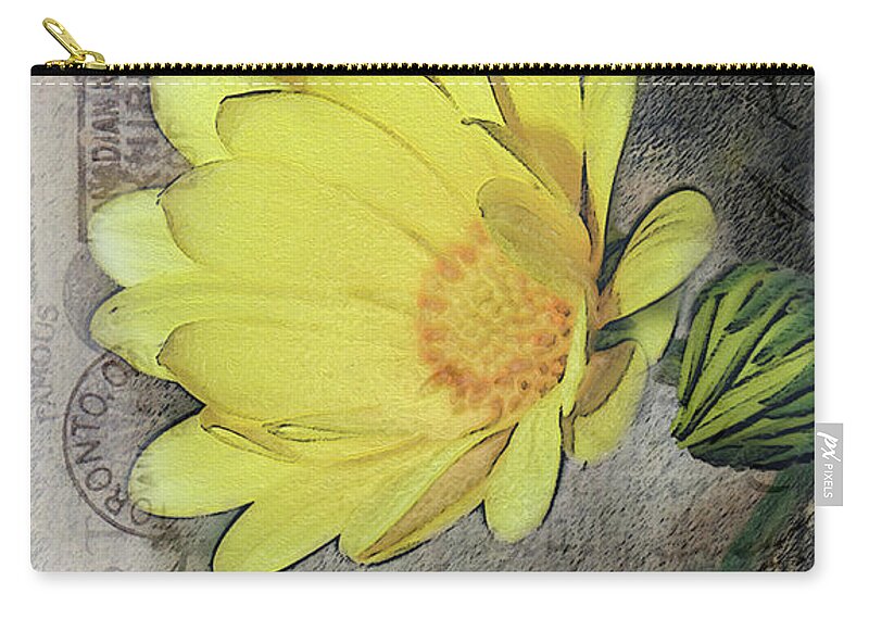 Postcard Zip Pouch featuring the photograph Yellow Daisy on Vintage 1916 Postcard by Nina Silver
