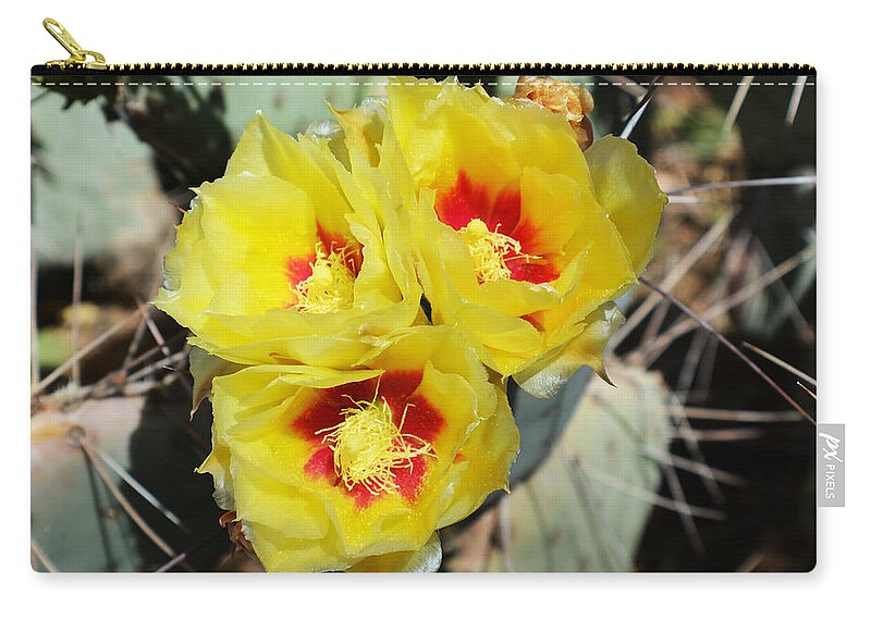 Cactus Zip Pouch featuring the photograph Yellow Desert Blooms by Aimee L Maher ALM GALLERY