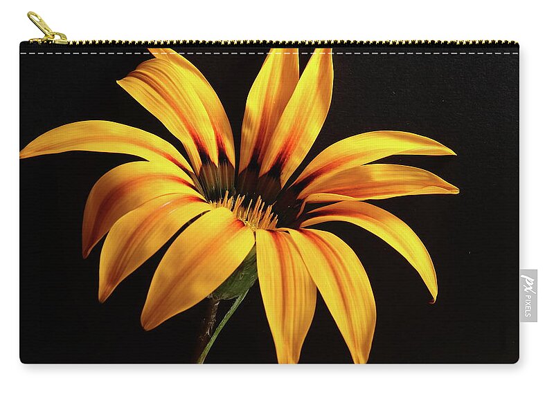 Flower Zip Pouch featuring the photograph Yellow Gazania Flower by Jeff Townsend