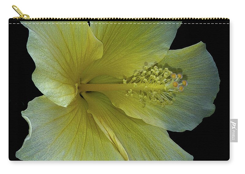 Naoture Zip Pouch featuring the photograph Yellow Hibiscus by Barry Bohn
