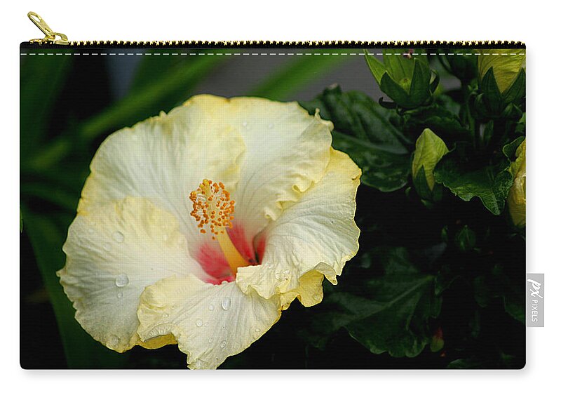 Yellow Hibiscus Zip Pouch featuring the photograph Yellow Hibiscus by Living Color Photography Lorraine Lynch