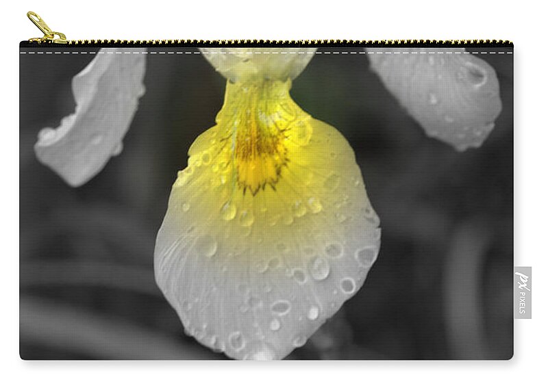 Flower Zip Pouch featuring the photograph Yellow Iris by Kimberly Woyak