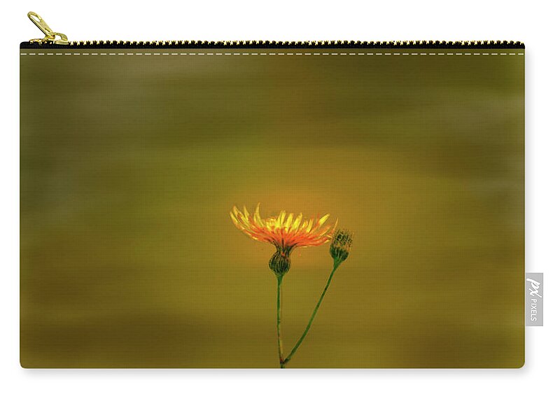Yellow Petals Zip Pouch featuring the photograph Yellow light #9. by Leif Sohlman