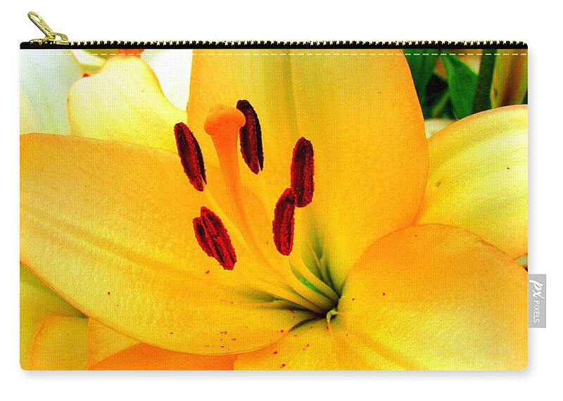 Yellow Lilies Zip Pouch featuring the photograph Yellow Lilies 1 by Randall Weidner