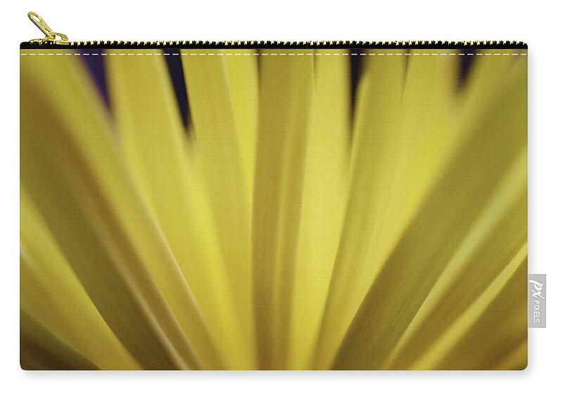 Photograph Zip Pouch featuring the photograph Yellow Mum Petals #17 by Larah McElroy