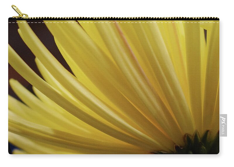 Photograph Zip Pouch featuring the photograph Yellow Mum Petals #18 by Larah McElroy