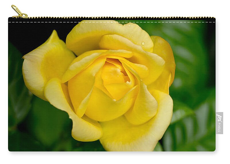 Rose Zip Pouch featuring the photograph Yellow on green. by Elena Perelman