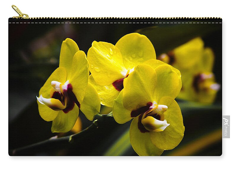 Bonnie Follett Zip Pouch featuring the photograph Yellow Orchids by Bonnie Follett