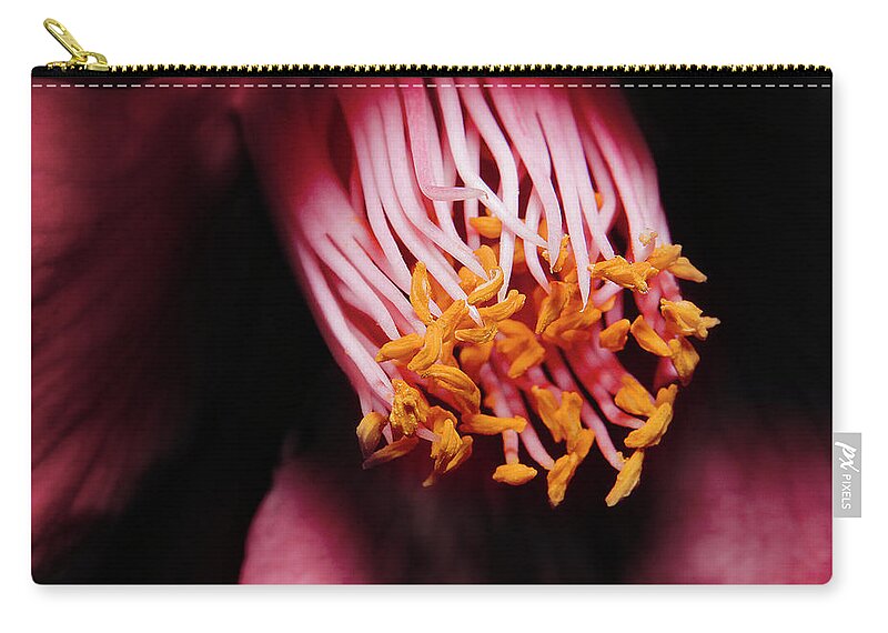 Pollen Carry-all Pouch featuring the photograph Yellow pollen 01 by Kevin Chippindall