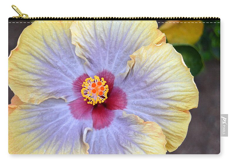 Flower Zip Pouch featuring the photograph Yellow Purple Hibiscus 3 by Amy Fose