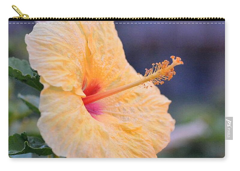 Flower Carry-all Pouch featuring the photograph Yellow Red Hibiscus Profile by Amy Fose