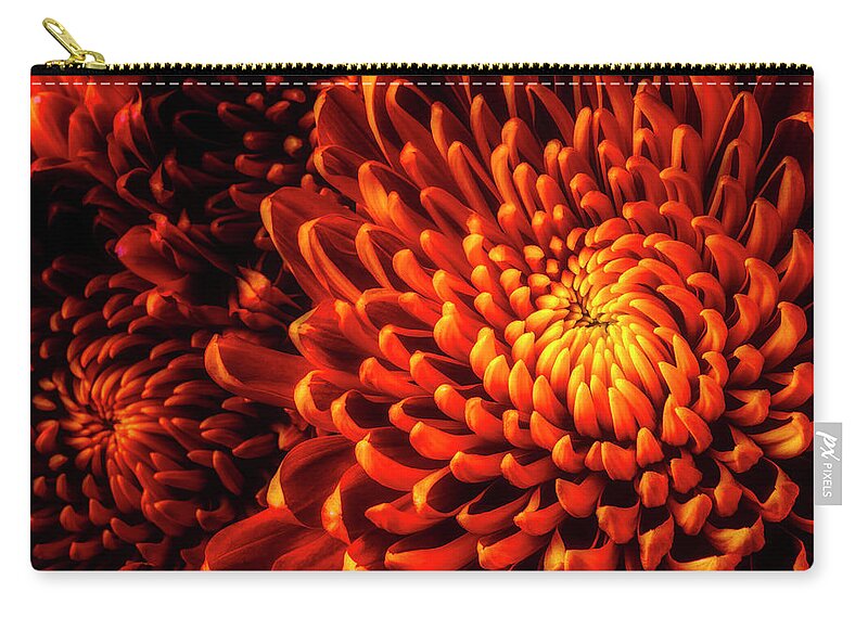 Yellow Zip Pouch featuring the photograph Yellow Red Spider Mums by Garry Gay