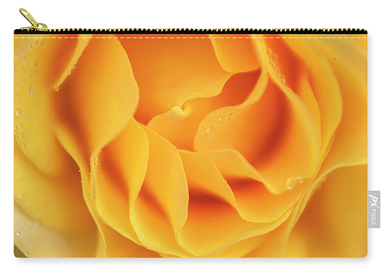 Flower Carry-all Pouch featuring the photograph Yellow rose of Texas by Usha Peddamatham
