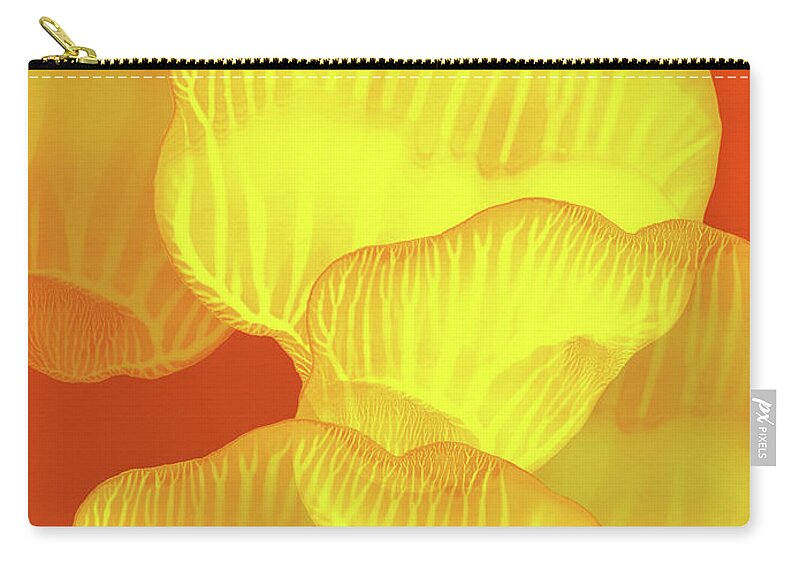Abstract Zip Pouch featuring the painting Yellow Rose Petals Falling in the Garden by Amy Vangsgard