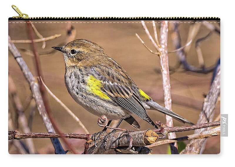 Nature Carry-all Pouch featuring the photograph Yellow-Rumped Warbler by DB Hayes