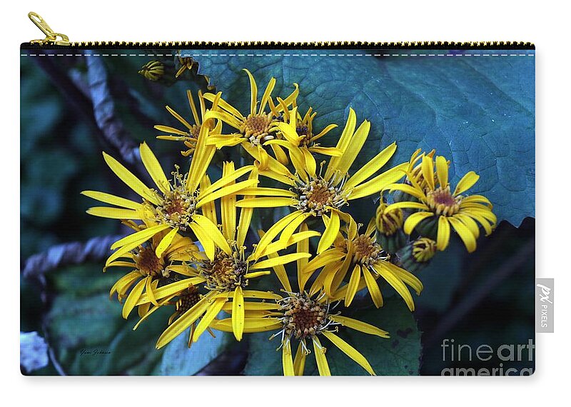 Flowers Zip Pouch featuring the photograph Yellow Stars by Yumi Johnson