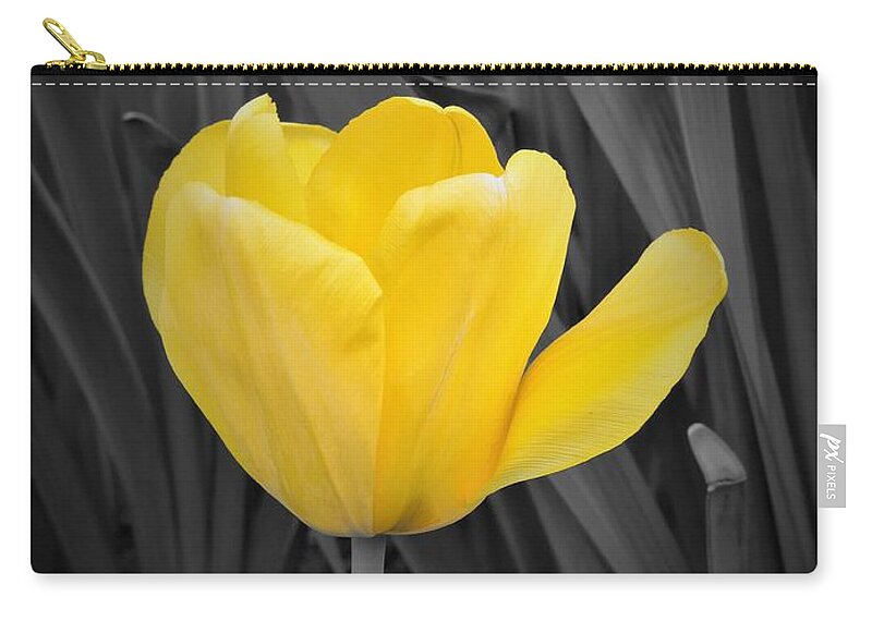 Yellow Zip Pouch featuring the photograph Yellow Tulip by Chad and Stacey Hall