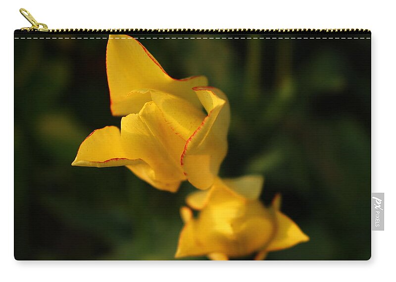 Tulips Zip Pouch featuring the photograph Yellow tulips by Irma Naan