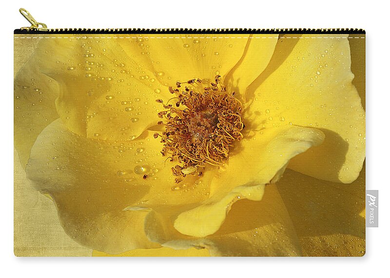 Rose Zip Pouch featuring the photograph Yellow Wild Rose by Phyllis Denton