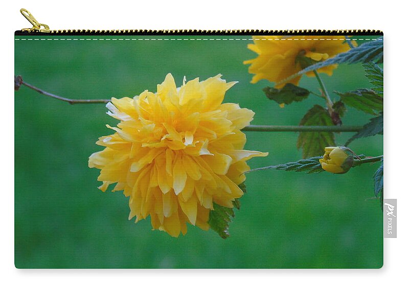 Spring Zip Pouch featuring the photograph Yellow by Yohana Negusse
