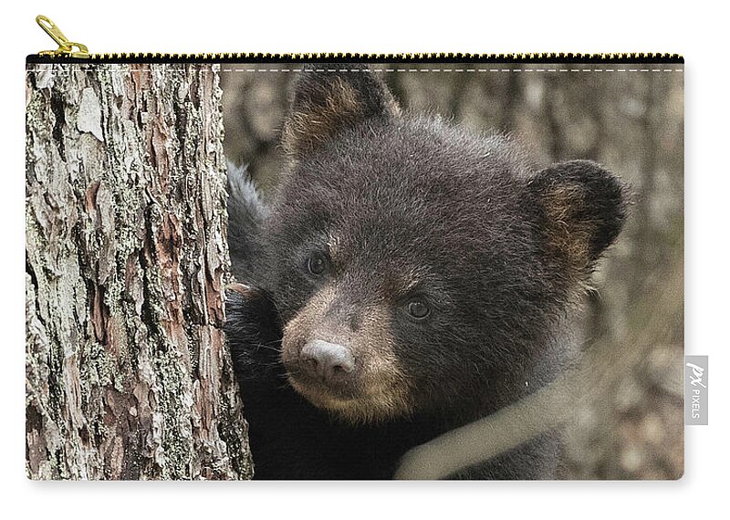 Bear Zip Pouch featuring the photograph Yes, Mom by Everet Regal