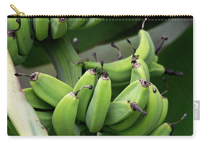 Banana Zip Pouch featuring the photograph Yes we have no bananas by John Black
