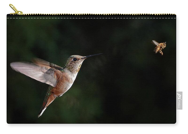 Rufous Hummingbird Zip Pouch featuring the photograph Yield To The Bee by Debra Sabeck